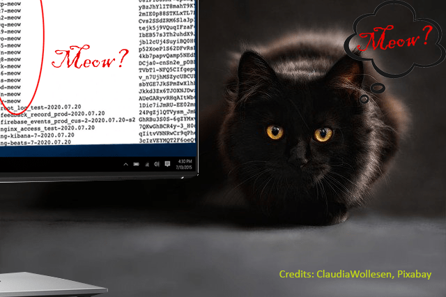 Meow… your unsecured public-web database has just been chewed up!